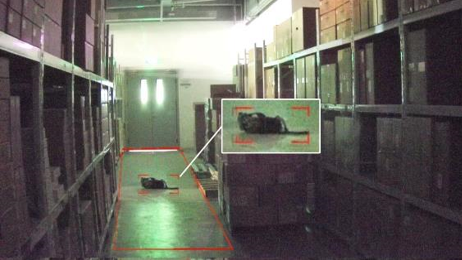 新利luck18(中国)体育·官方网站