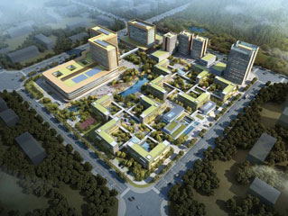 新利luck18(中国)体育·官方网站